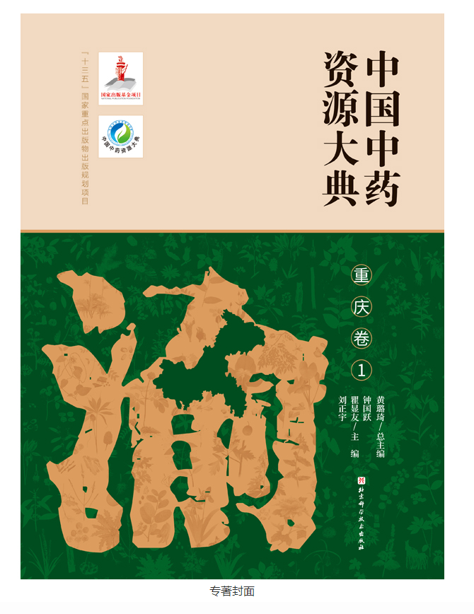 新闻图片1.png
